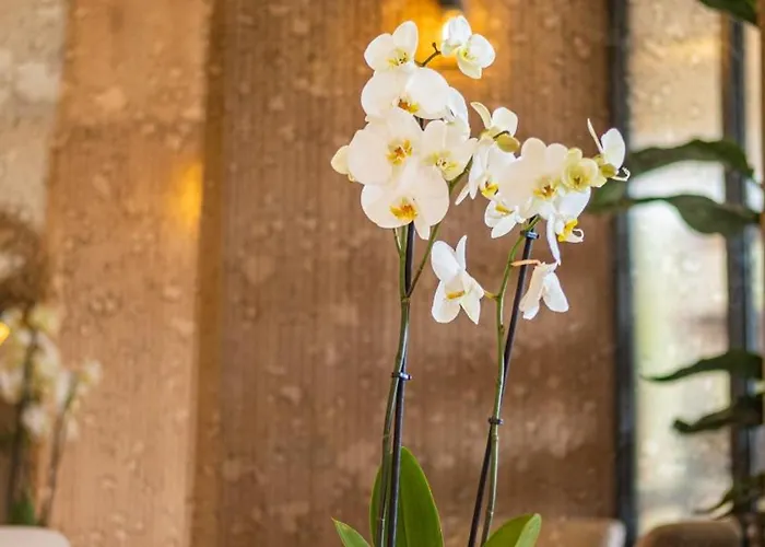 Hotel Heritage By Cimen 3*