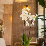 فندق Heritage By Cimen 3*