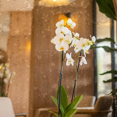 Szálloda Heritage By Cimen 3*