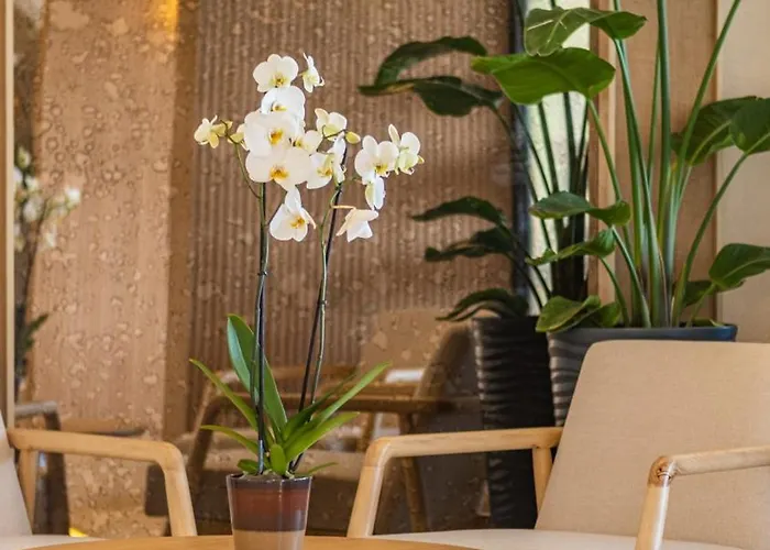 Heritage By Cimen アランヤ